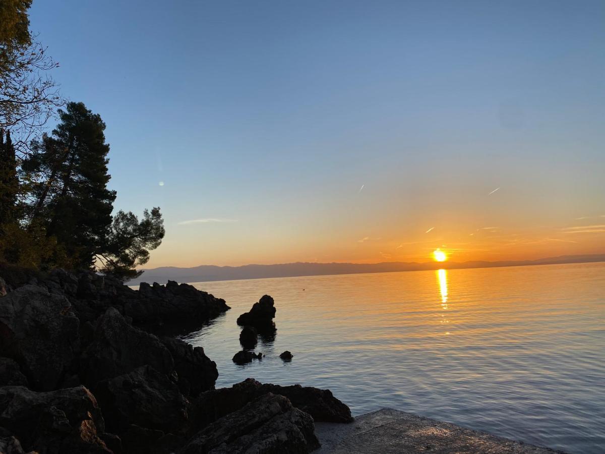Villa Lovran - 150M To The Beach - Infinity Pool - Incredible Sea View - Fitness Room Екстер'єр фото